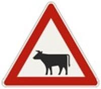 Obrázok k otázke 616