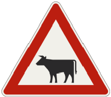 Hospodárske zvieratá